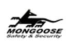 Mongoose Copy